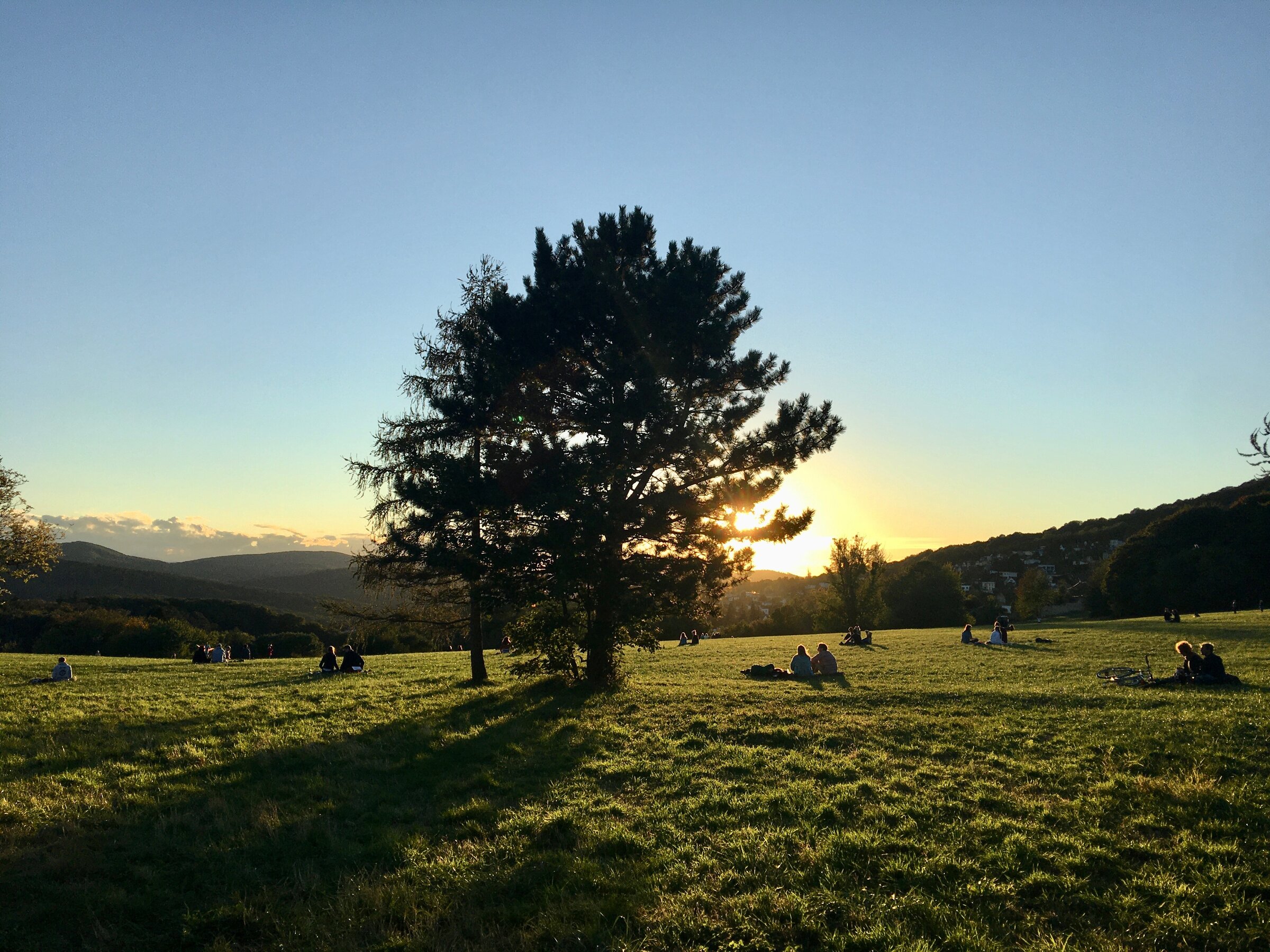 Sonnenuntergang auf den Steinhofgründen gegenüber