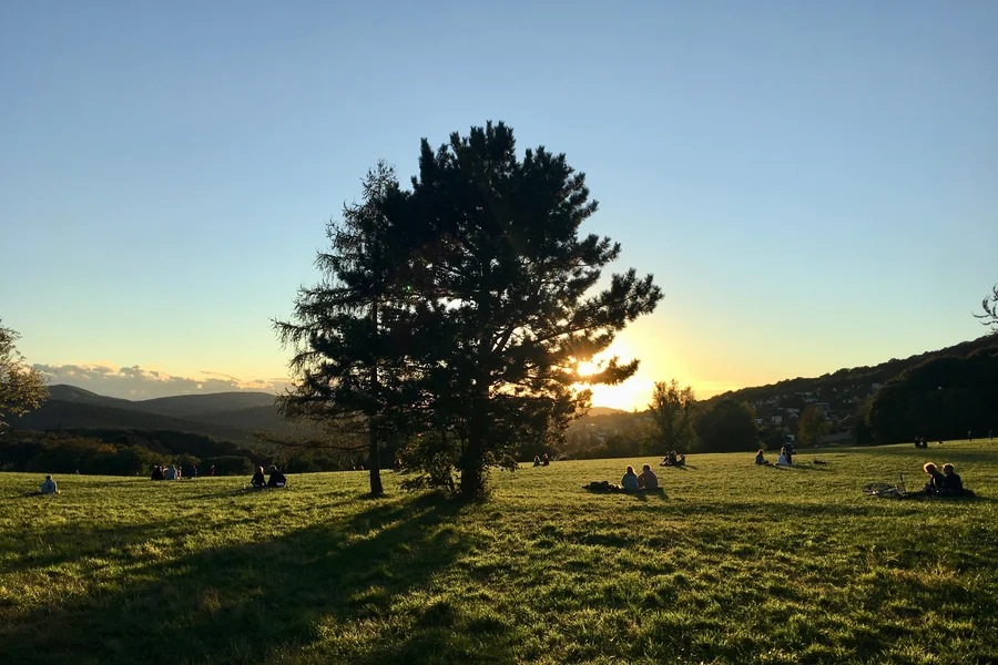 Sonnenuntergang auf den Steinhofgründen gegenüber