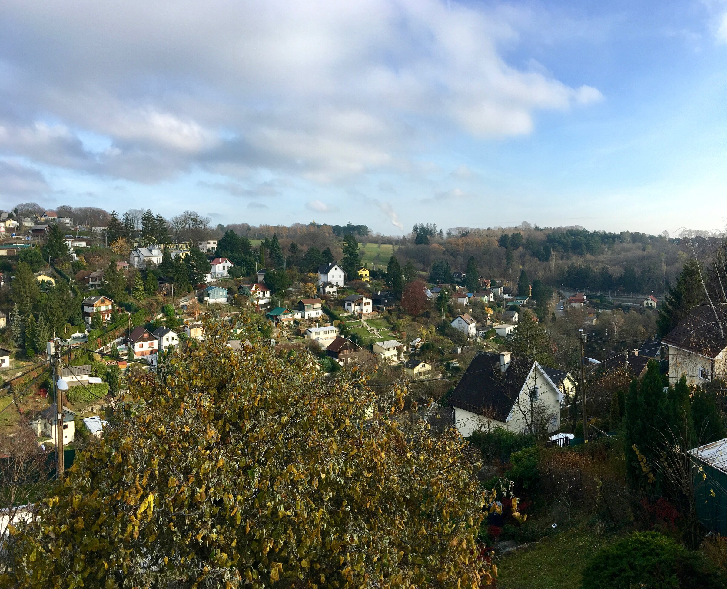 Ausblick vom Balkon