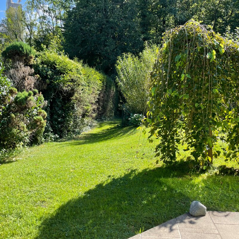 Im Hintergrund der eigene Zugang zur Königseeache