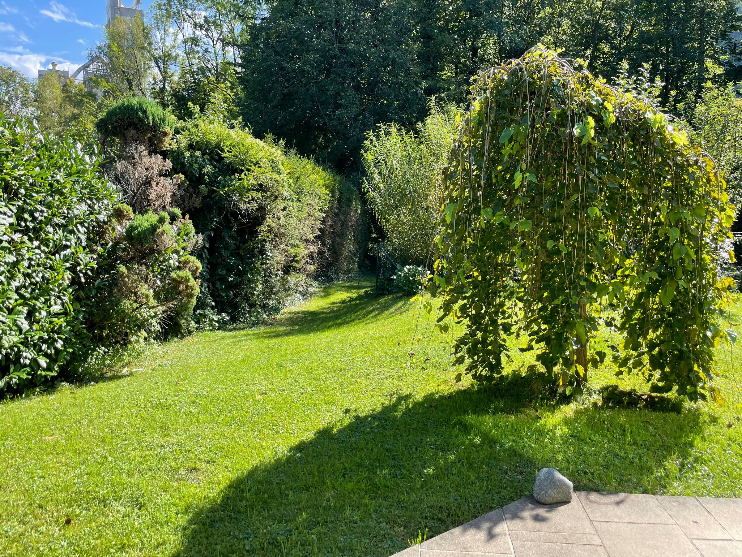 Im Hintergrund der eigene Zugang zur Königseeache