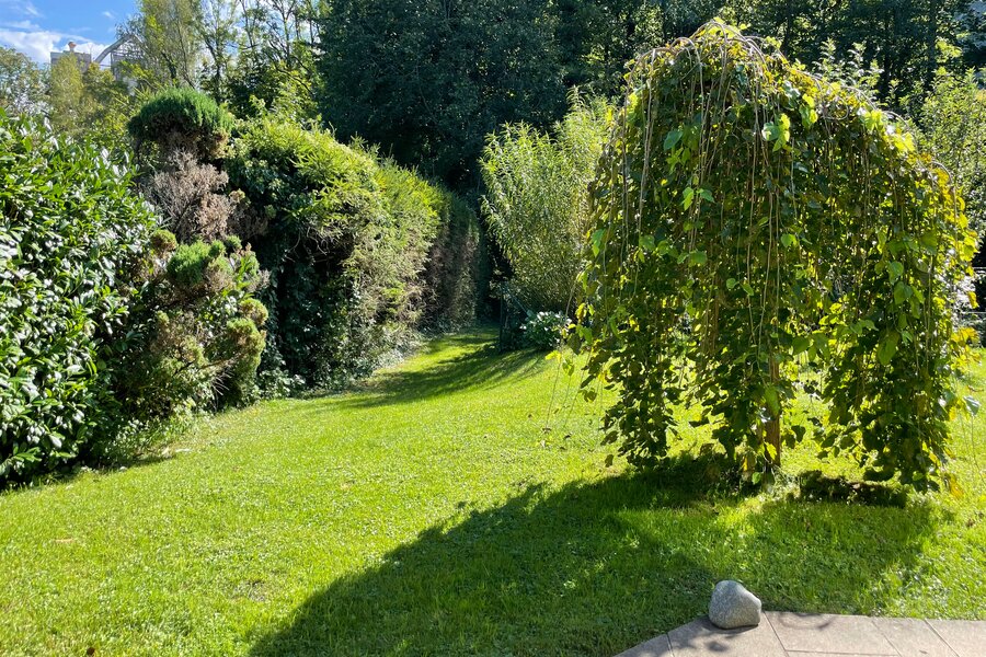 Im Hintergrund der eigene Zugang zur Königseeache