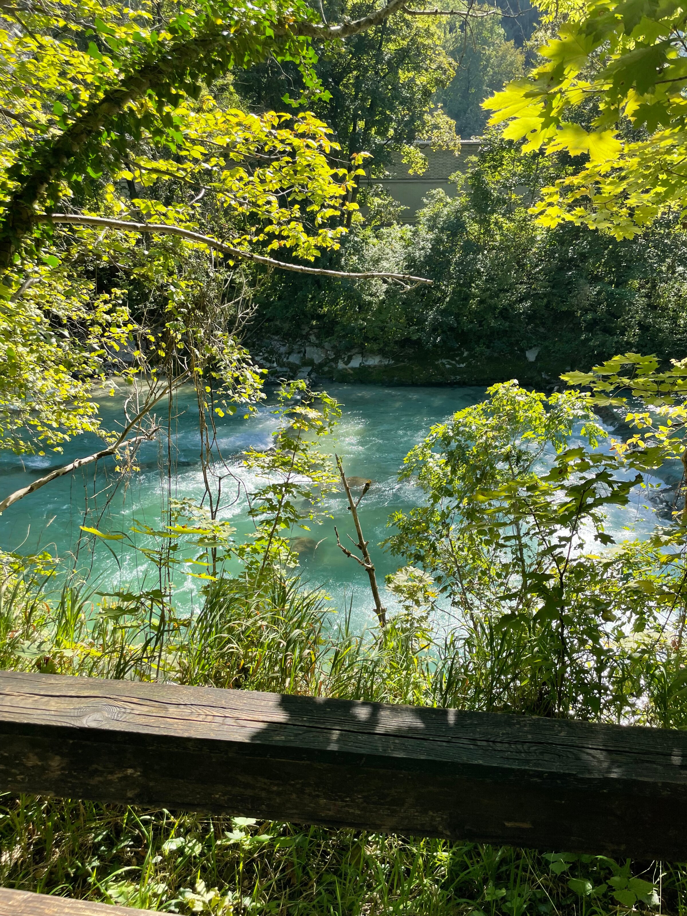 Königseeache