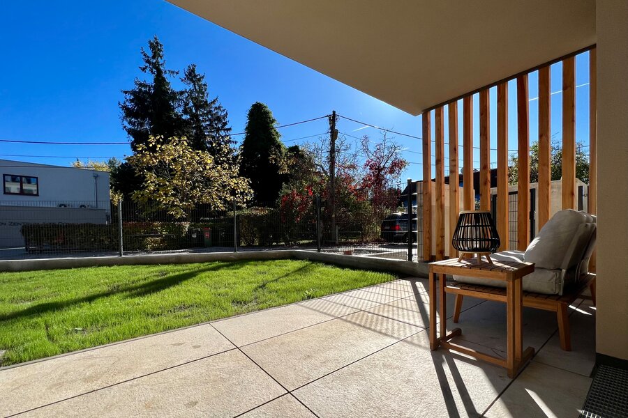 Terrace and garden