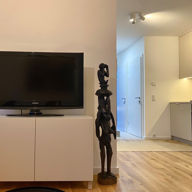 TV