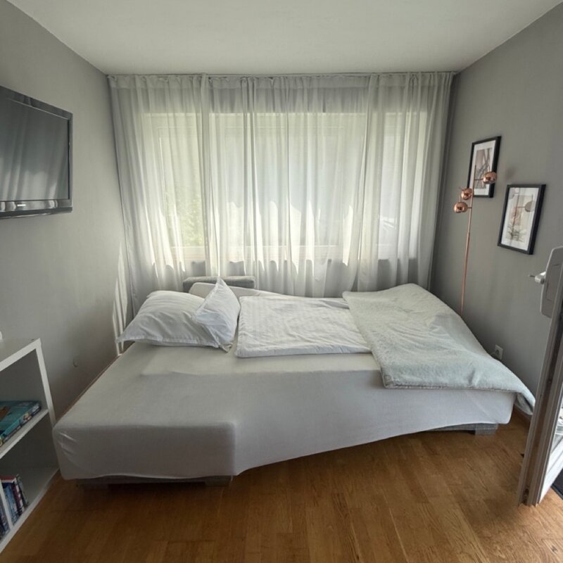 Schlafsofa