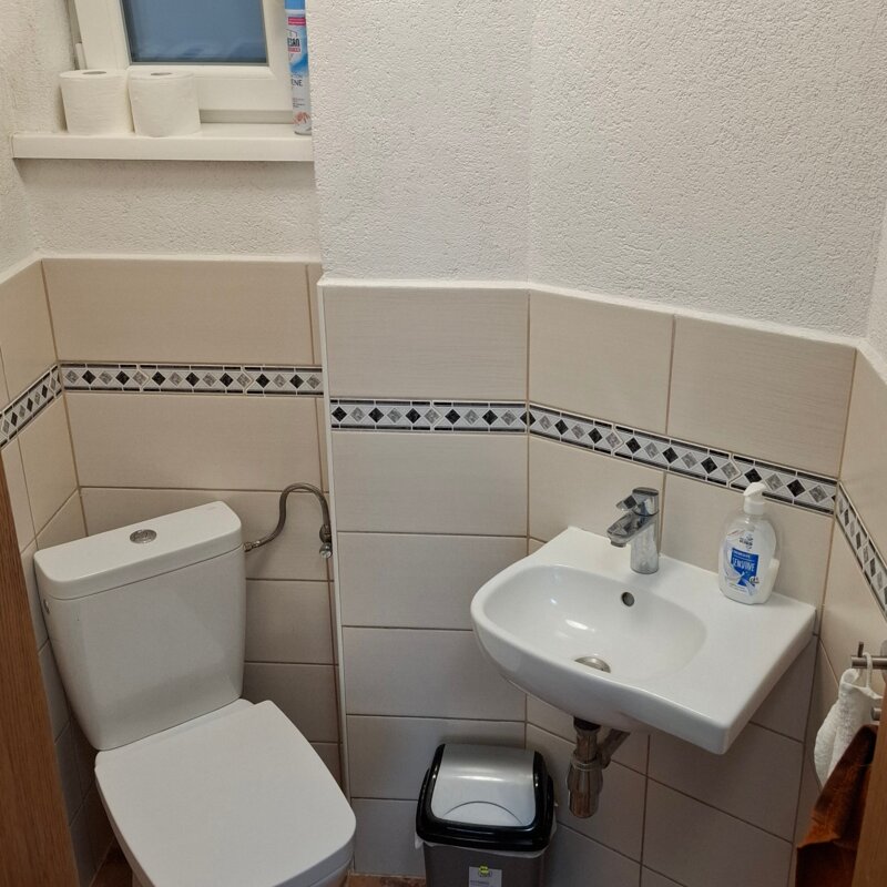 separate toilet with washbasin