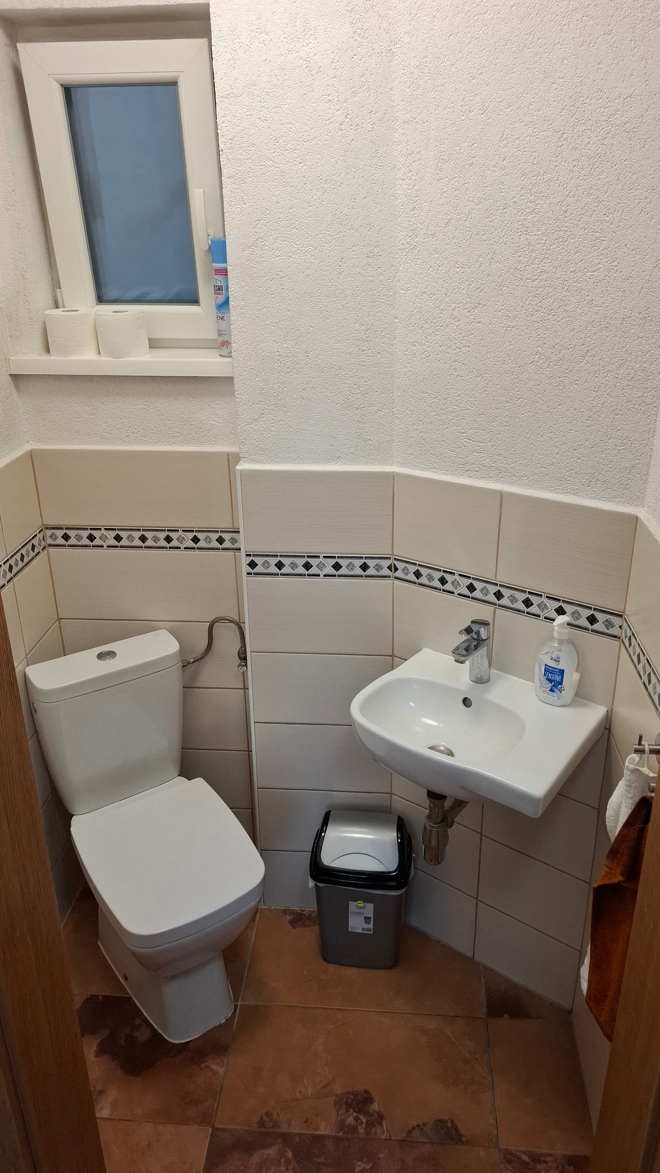 separate toilet with washbasin