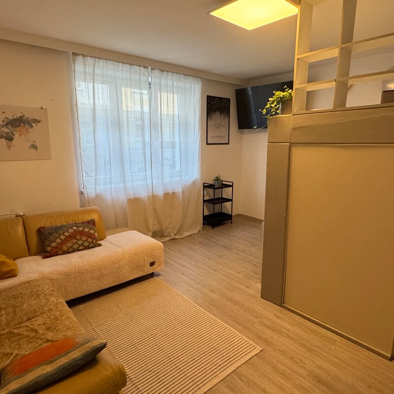 Living/bedroom 
