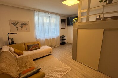 Living/bedroom 