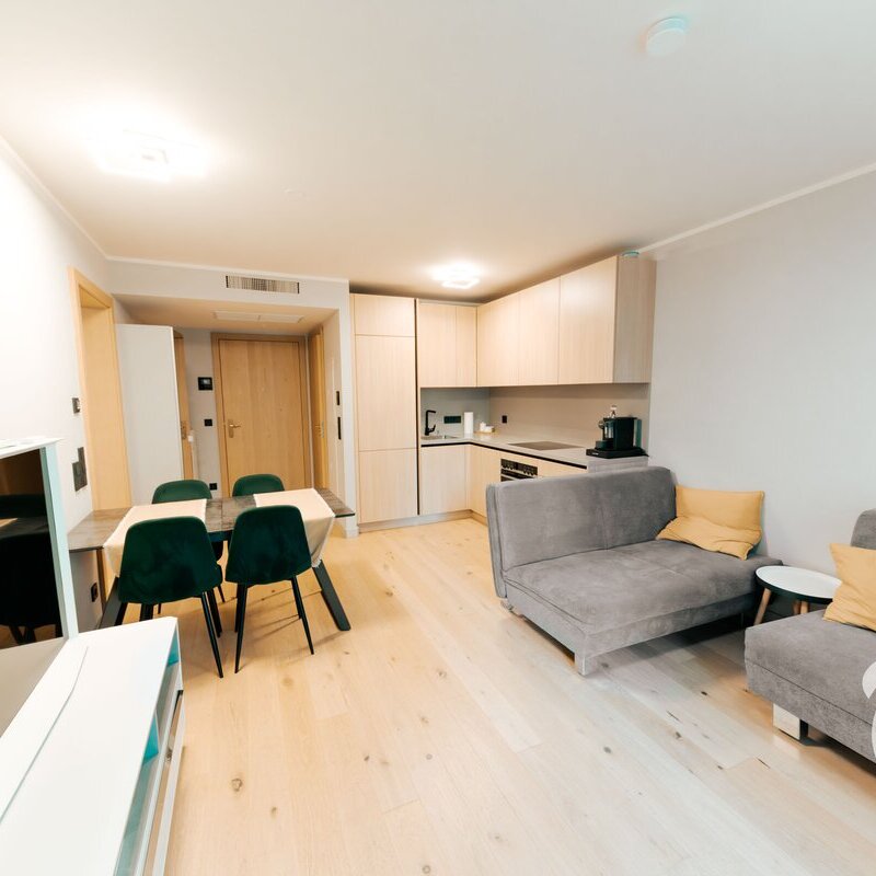 Bright living & dining area with modern kitchen – 2-room apartment for short-term rental & temporary housing for 1 to 6 months in Vienna