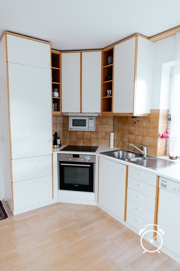 induction cooker, new fridge, microwave, dish washer and sink