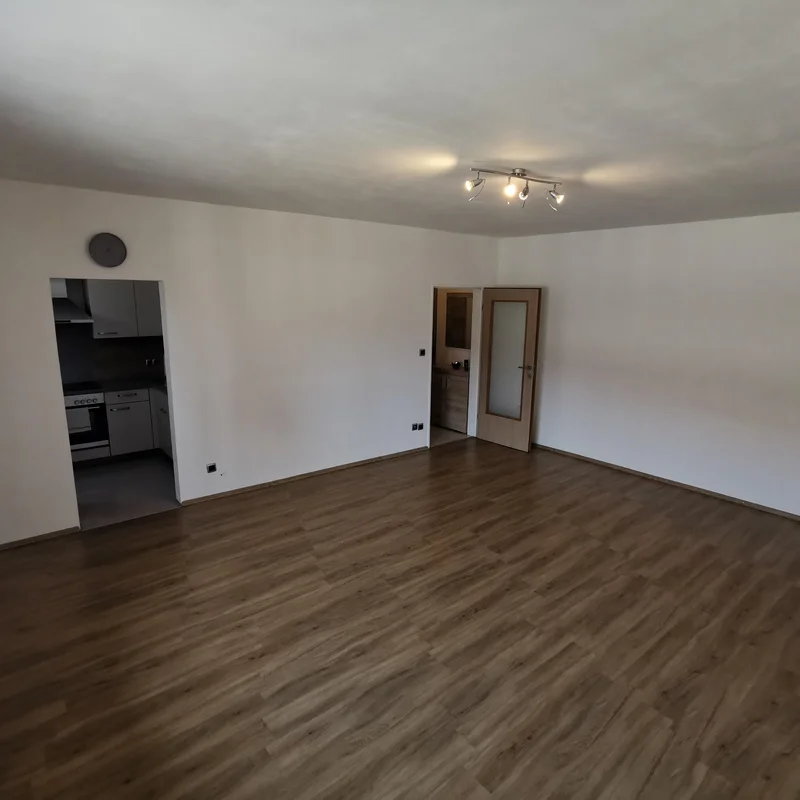 Wohn-/Ess-/Schlafzimmer