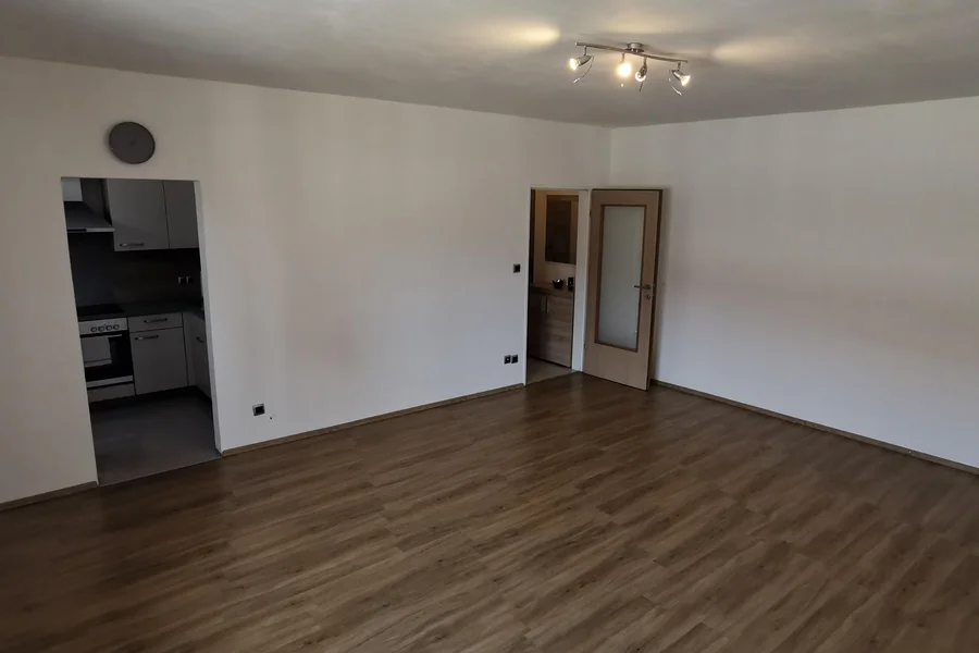 Wohn-/Ess-/Schlafzimmer