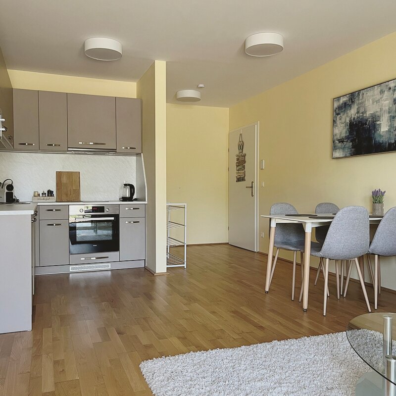 Wohnzimmer Blick zur Eingangstür