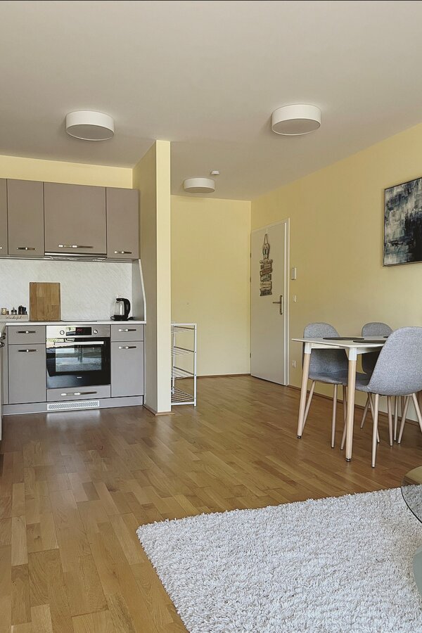 Wohnzimmer Blick zur Eingangstür