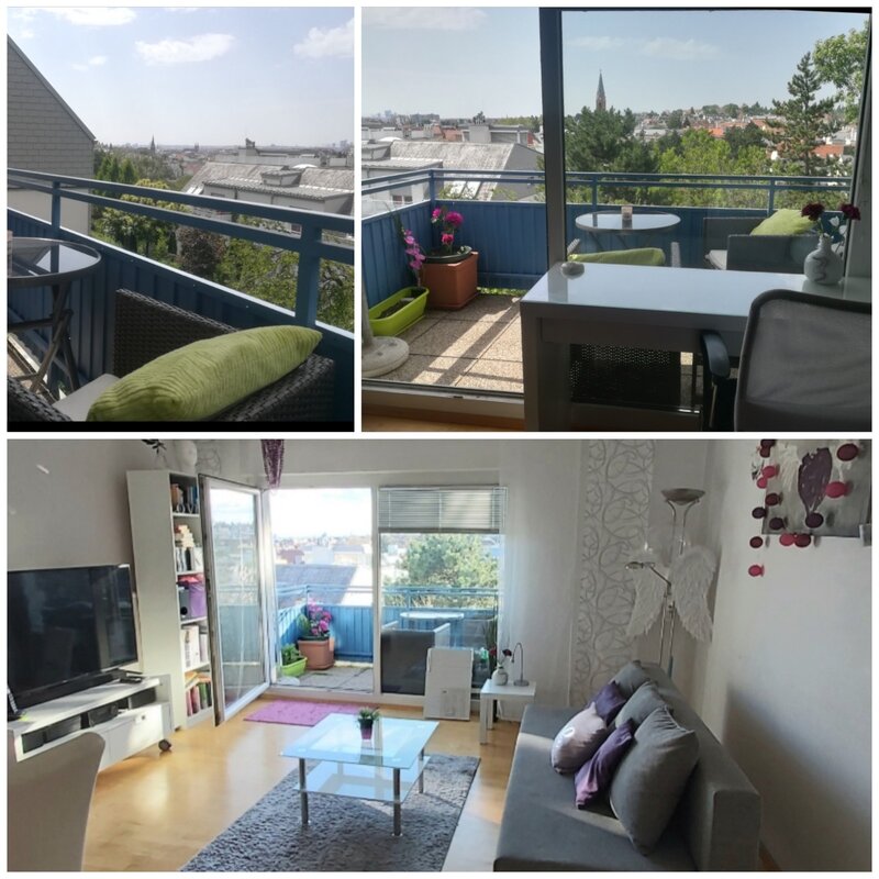 Der Blick vom Wohnzimmer