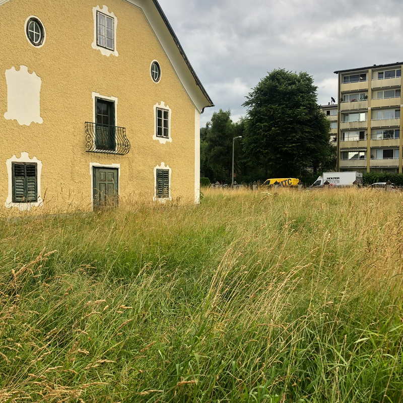 Umgebung