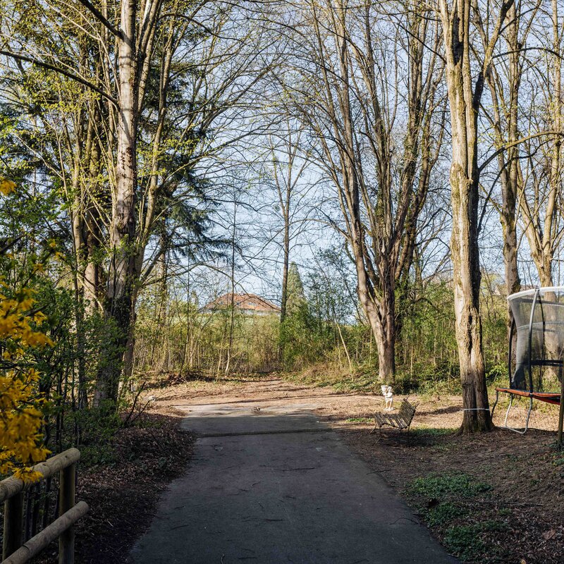 Forest areas invite you for a small walk | © Ebner - Wenger