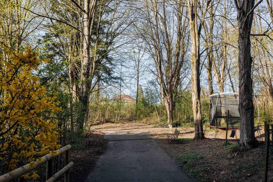 Forest areas invite you for a small walk | © Ebner - Wenger