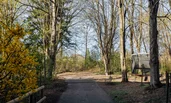 Forest areas invite you for a small walk | © Ebner - Wenger