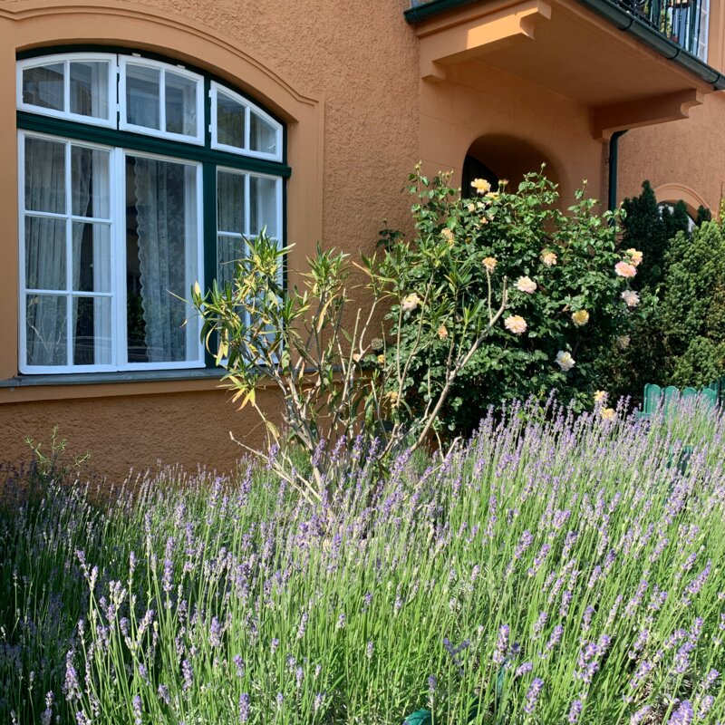 With garden, In a vineyard and hiking area with only 10 minutes from Vienna. Excellent combination to combine outdoor activity with work.