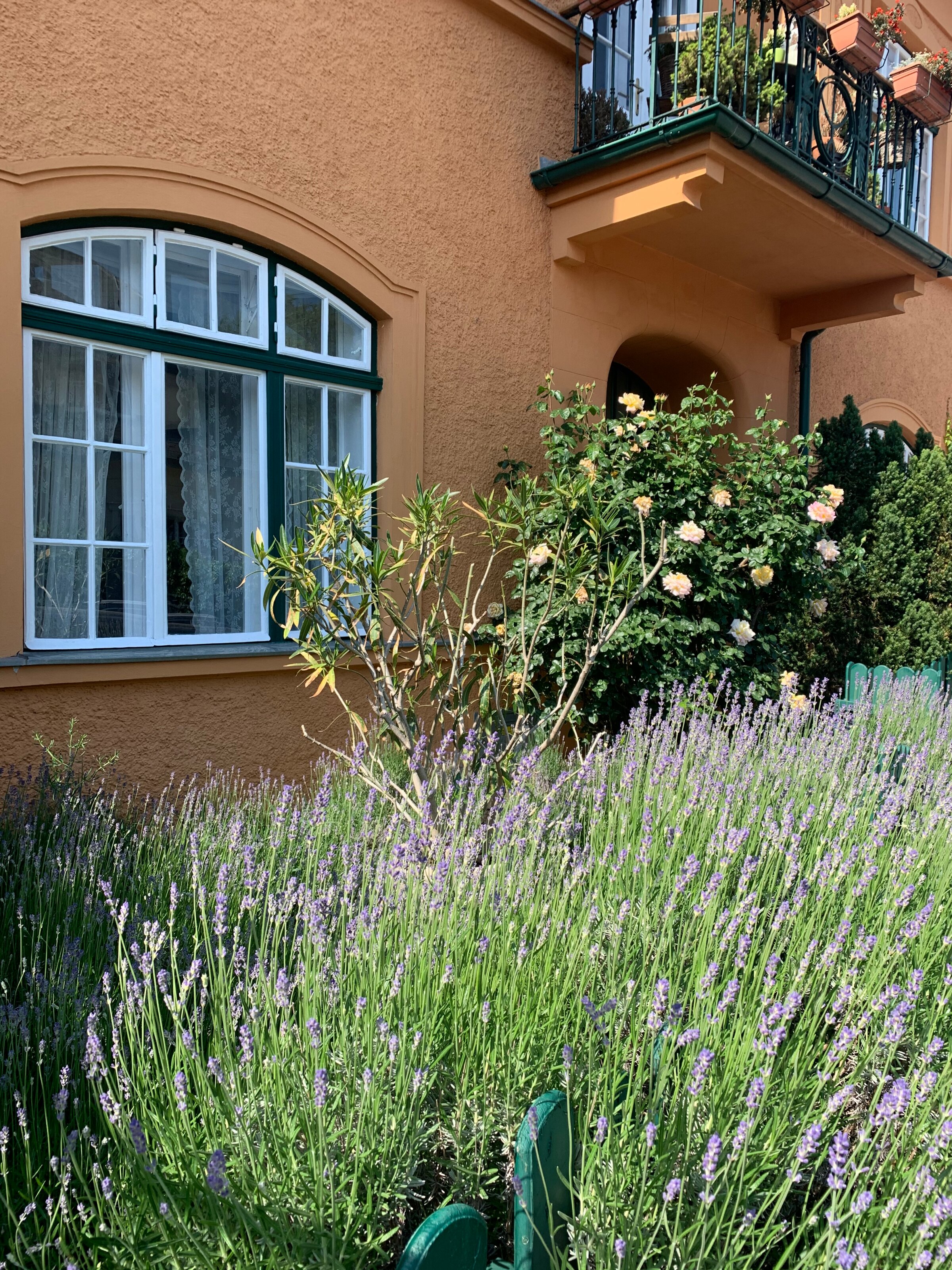 With garden, In a vineyard and hiking area with only 10 minutes from Vienna. Excellent combination to combine outdoor activity with work.