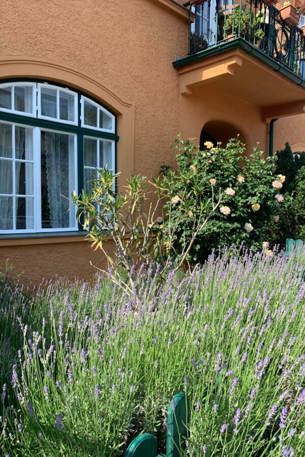 With garden, In a vineyard and hiking area with only 10 minutes from Vienna. Excellent combination to combine outdoor activity with work.