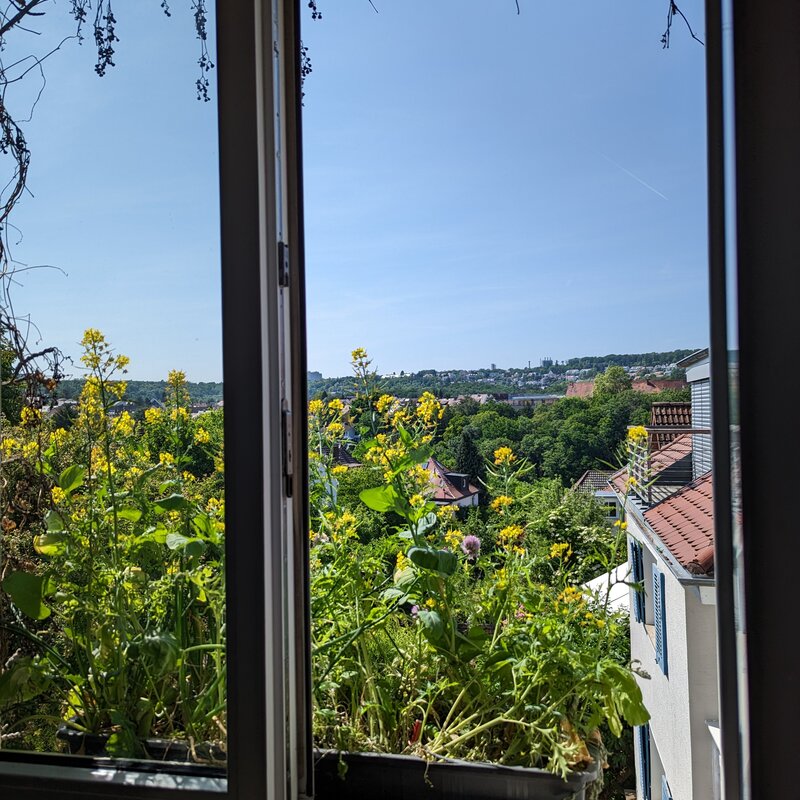 Aussicht Küche