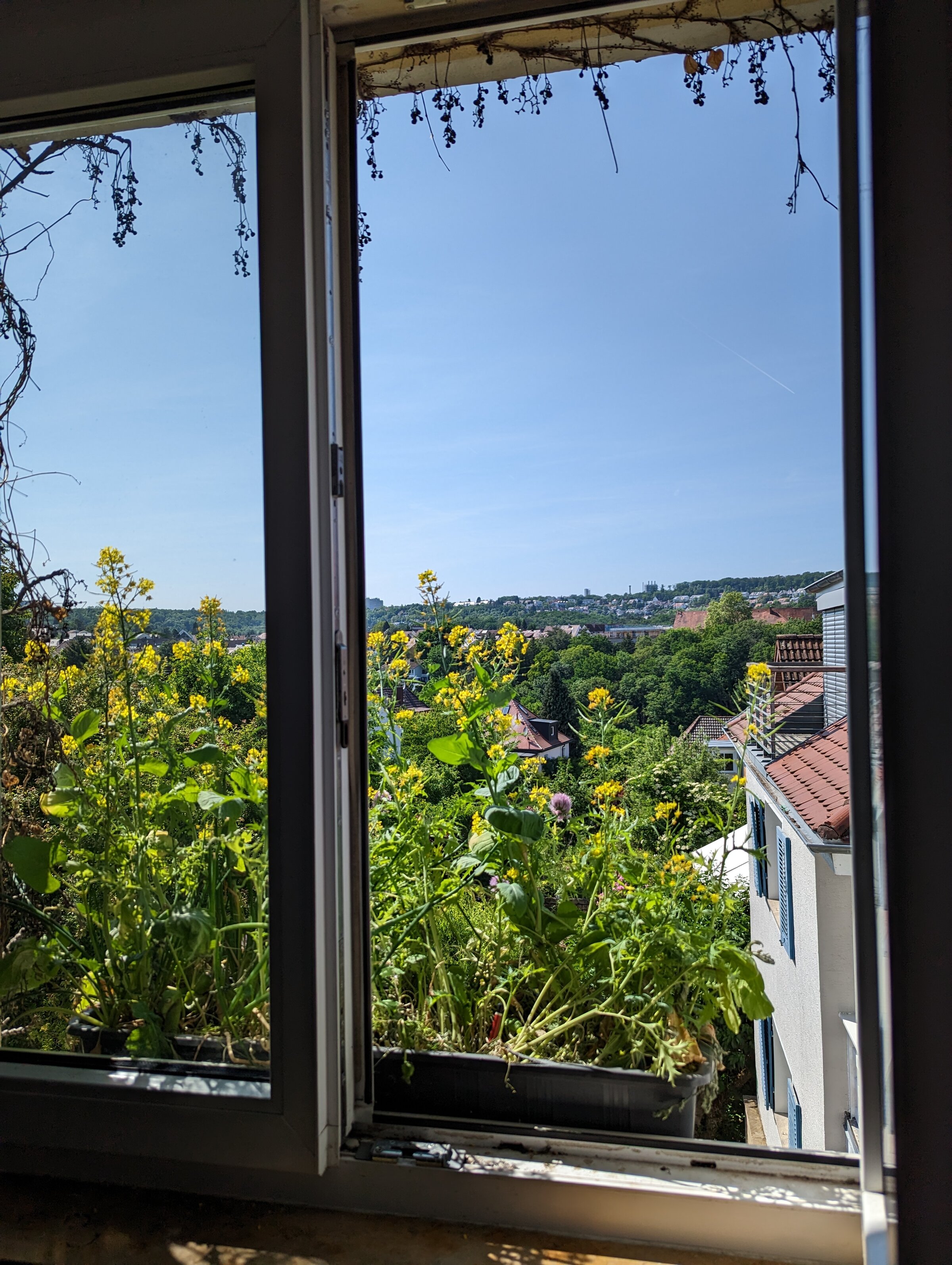 Aussicht Küche