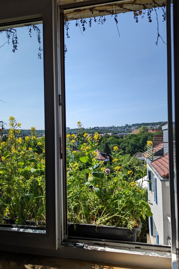 Aussicht Küche