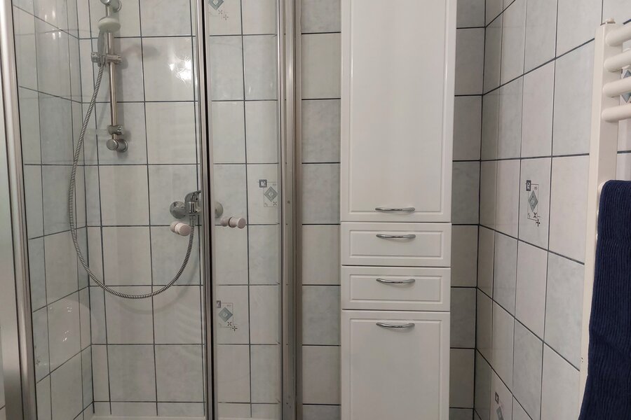 Bathroom with shower and cabinet