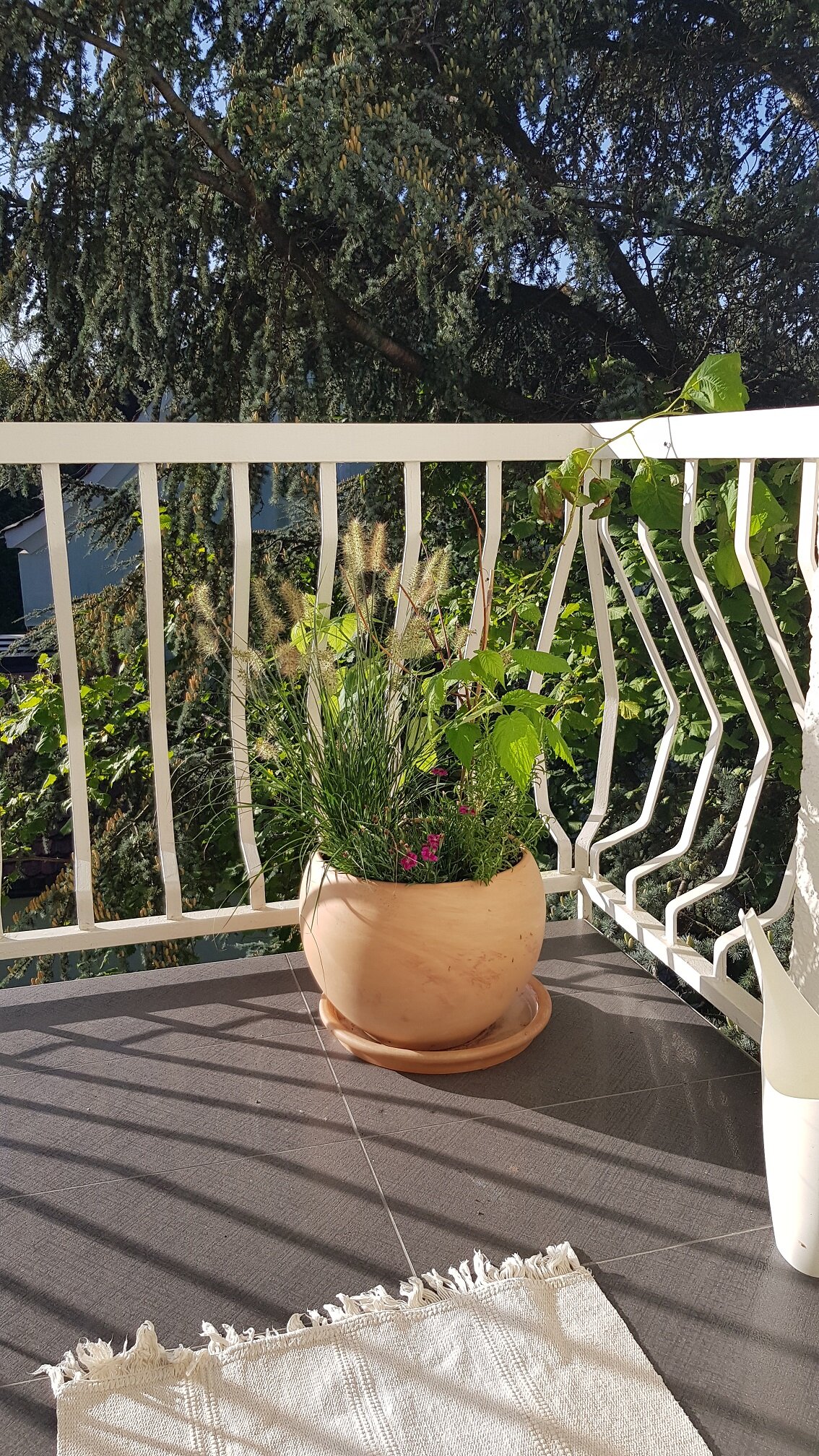 Balkony / loggia | © Architekt Dipl.-Ing. Alexander Rettenbacher