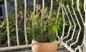 Balkon / Loggia | © Architekt Dipl.-Ing. Alexander Rettenbacher