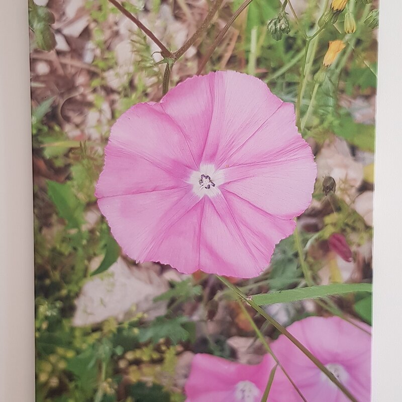 © Architekt Dipl.-Ing. Alexander Rettenbacher