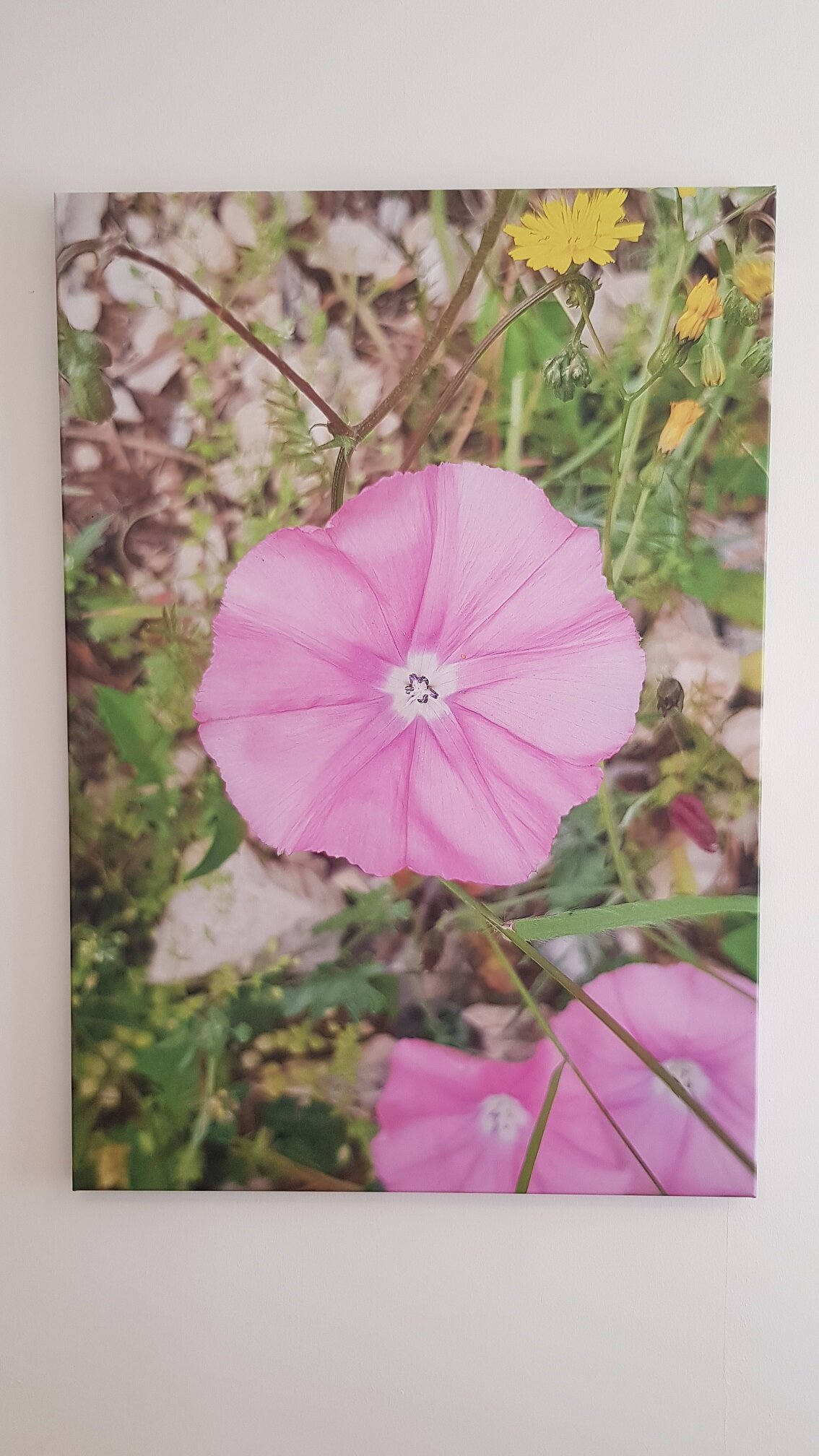 © Architekt Dipl.-Ing. Alexander Rettenbacher