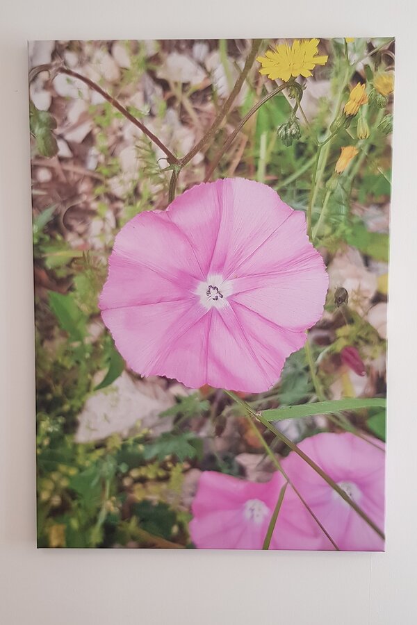 © Architekt Dipl.-Ing. Alexander Rettenbacher