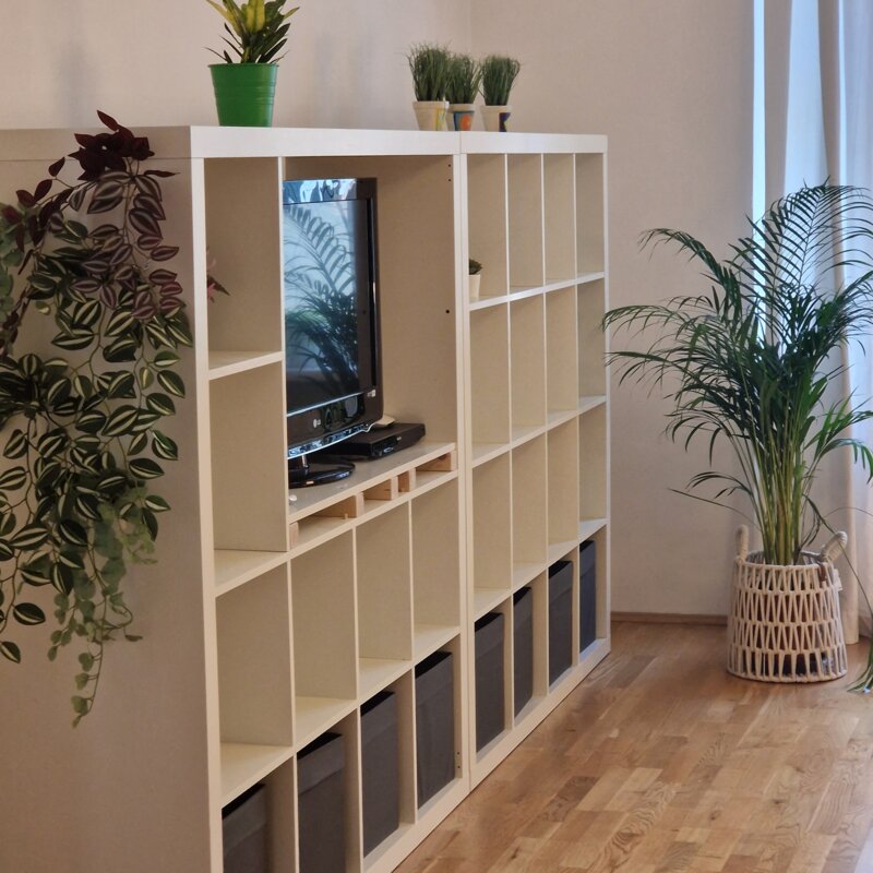 living room with TV + DVD 