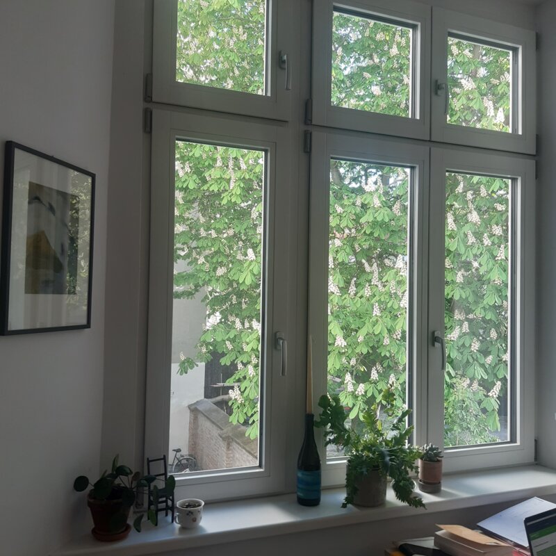 Aussicht des Wohn-/Arbeitszimmers auf den Kastanienbaum, südseitig