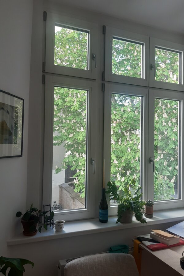 Aussicht des Wohn-/Arbeitszimmers auf den Kastanienbaum, südseitig