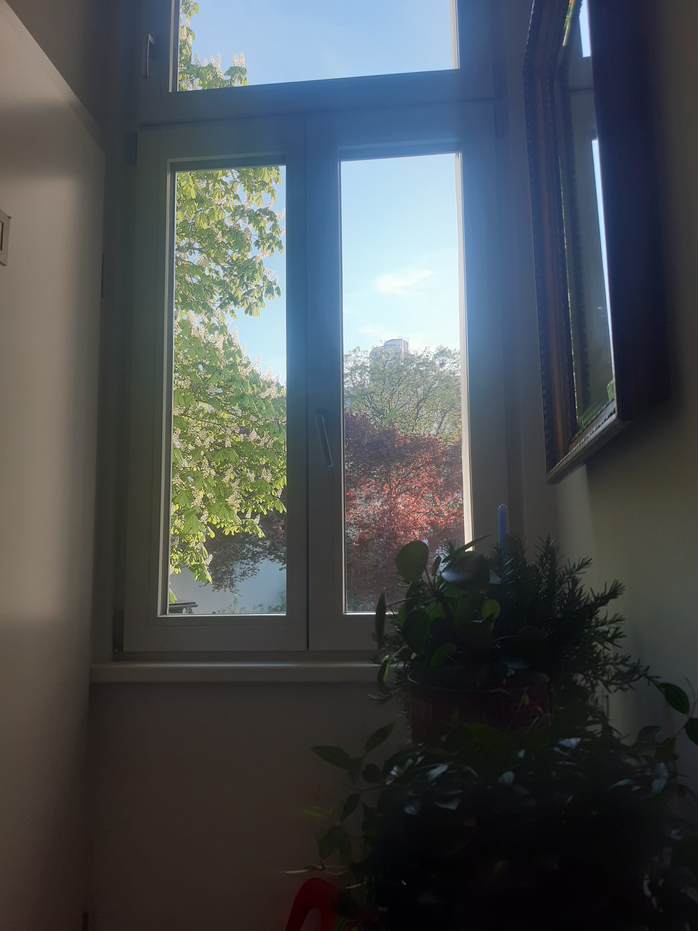 Küchenfensteraussicht, OST