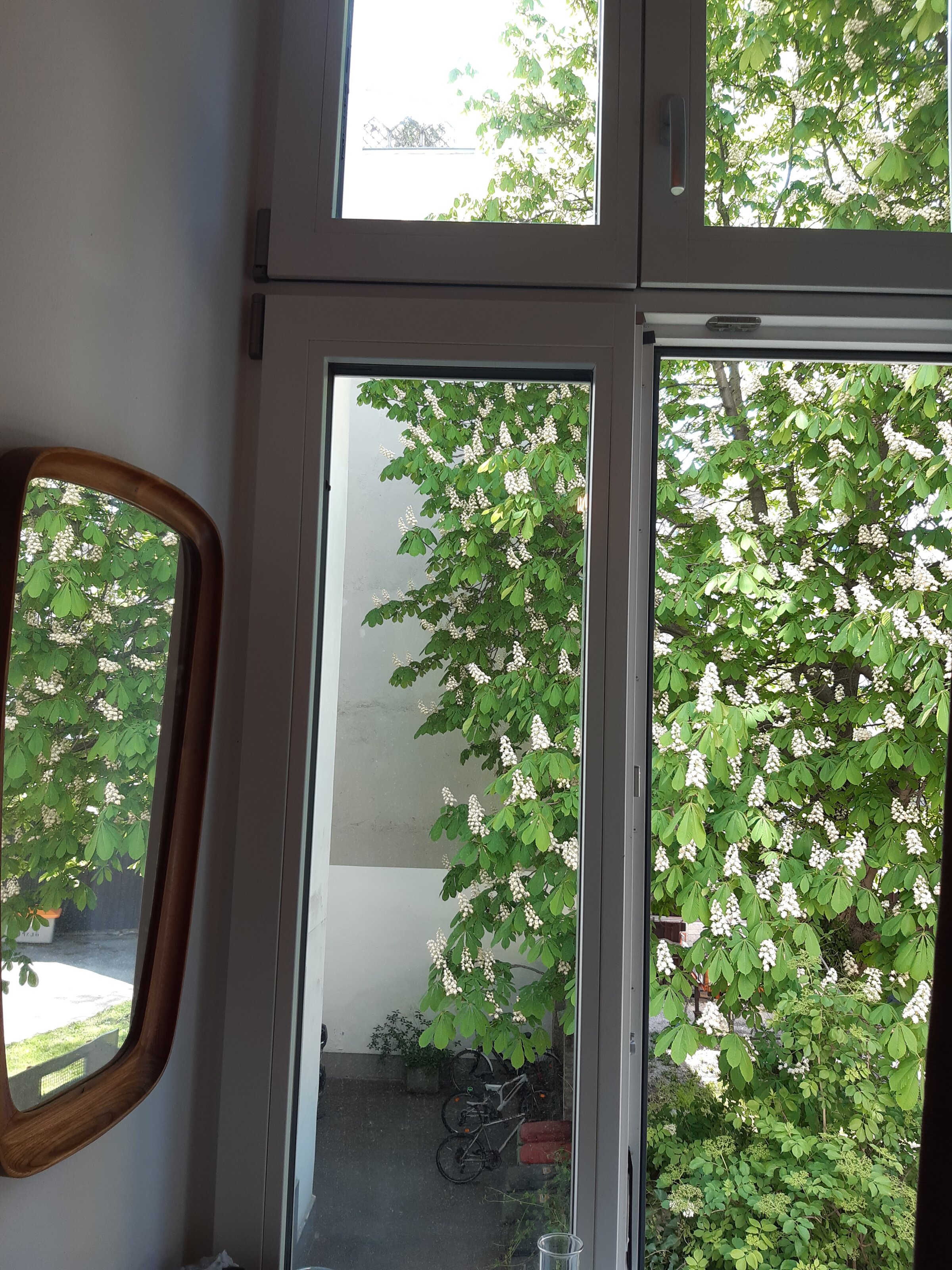 Schlafzimmerausblick