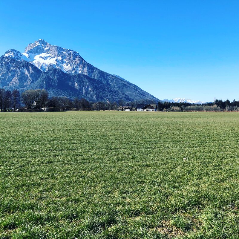 Umgebung in wenigen Minuten zu Fuß erreichbar | © kaserer