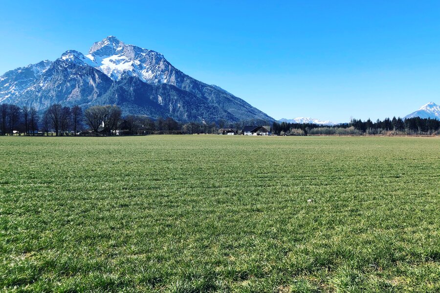 Umgebung in wenigen Minuten zu Fuß erreichbar | © kaserer