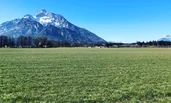 Umgebung in wenigen Minuten zu Fuß erreichbar