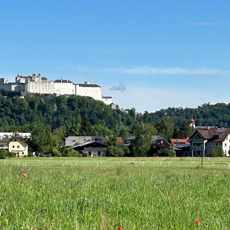 Wohnhaus mit Blick in die Stadt | © kaserer