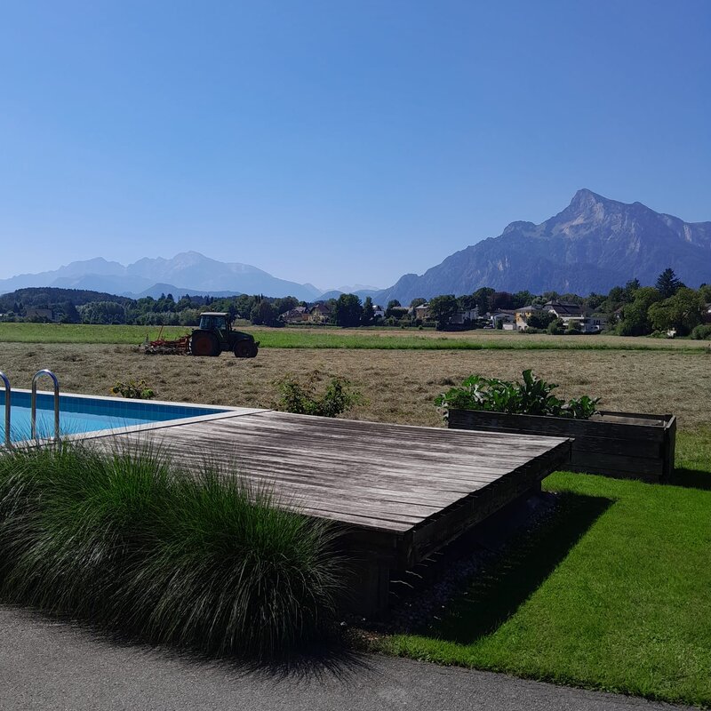 Wir befinden uns am land mit Kühen und allem was dazu gehört | © kaserer