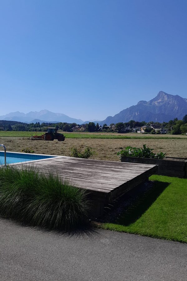 Wir befinden uns am land mit Kühen und allem was dazu gehört | © kaserer