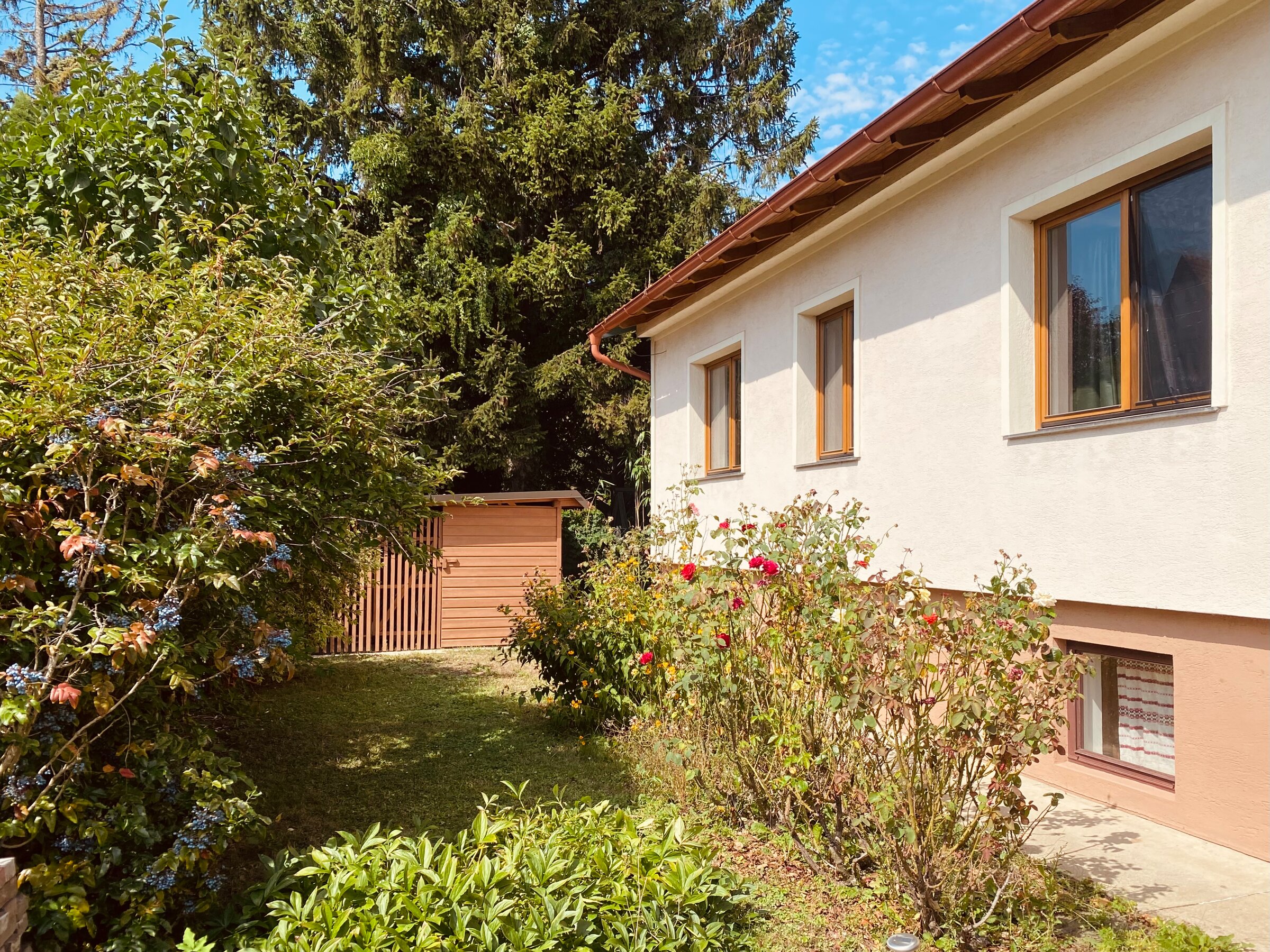 Vorderseite Haus
