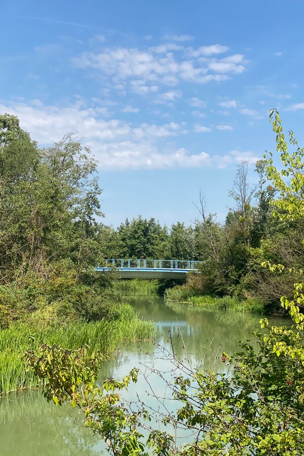 Marchfeldkanal